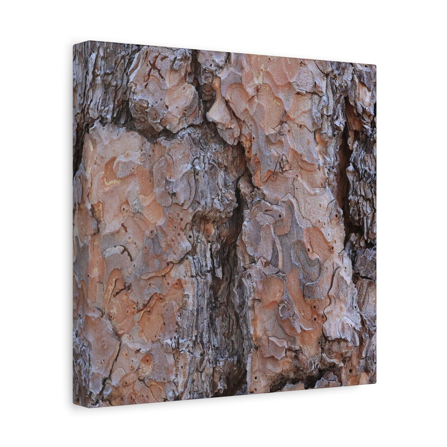 Arboreal Armor - Unique Frameless Canvas Wall Art