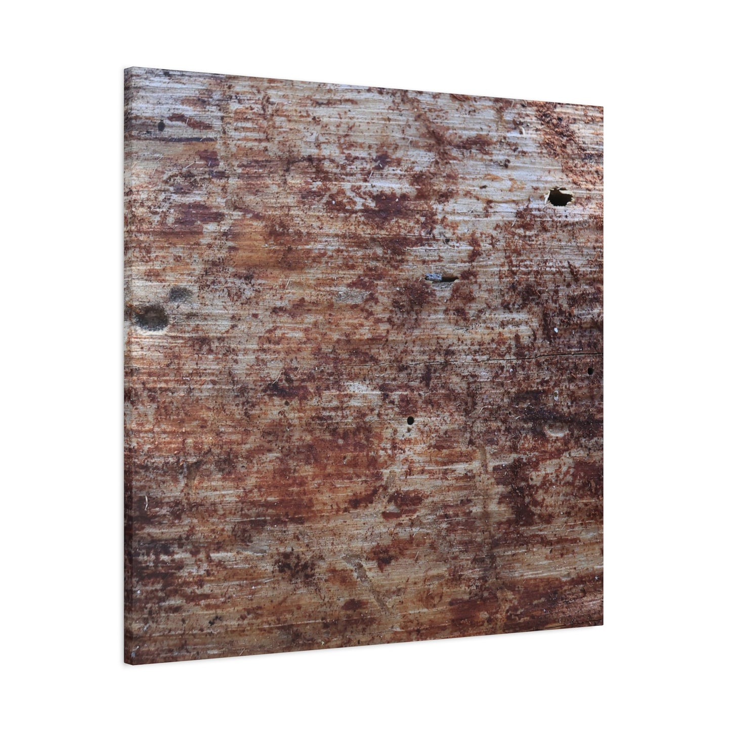Decaying Memoir - Unique Frameless Canvas Wall Art