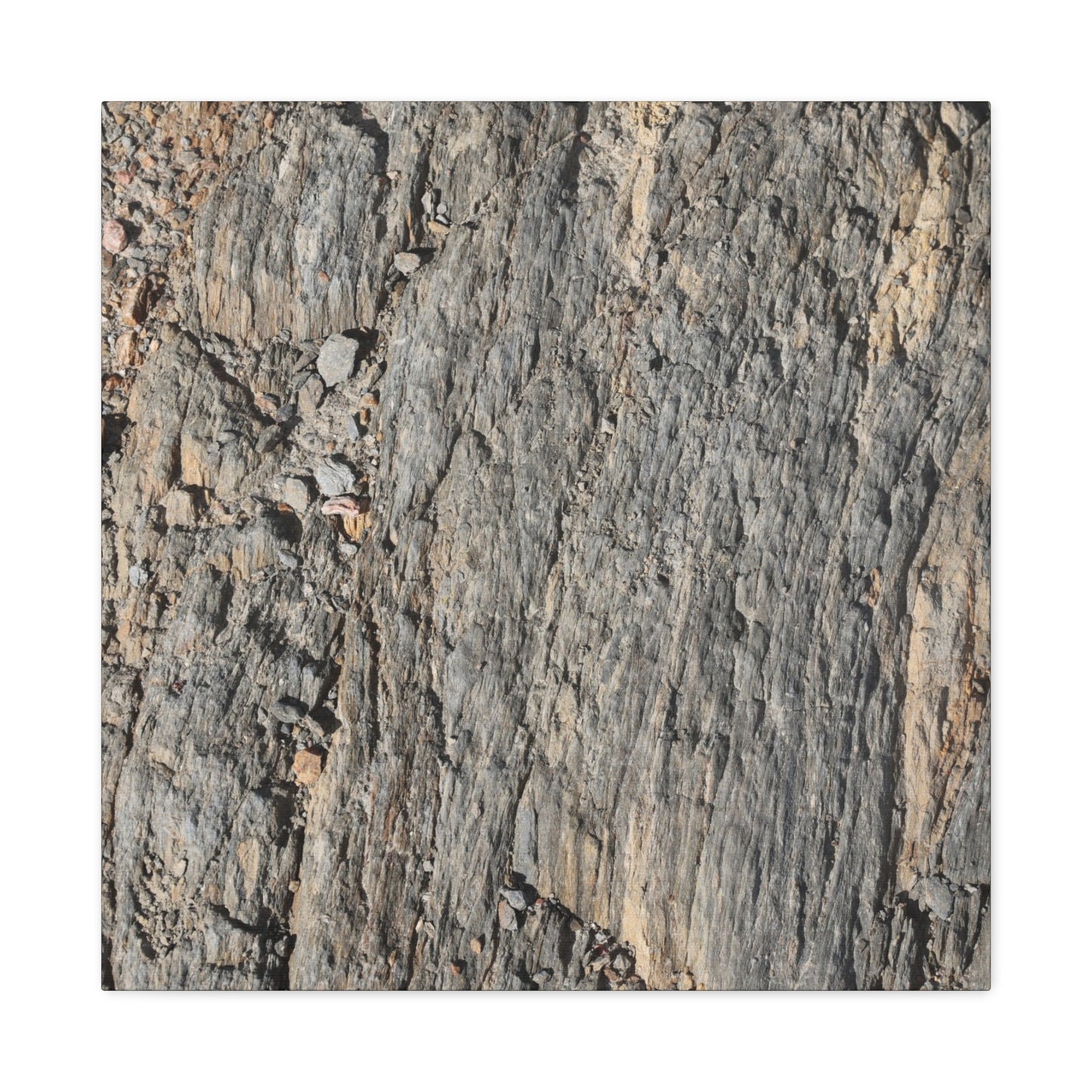 Bark Echoes - Unique Frameless Canvas Wall Art