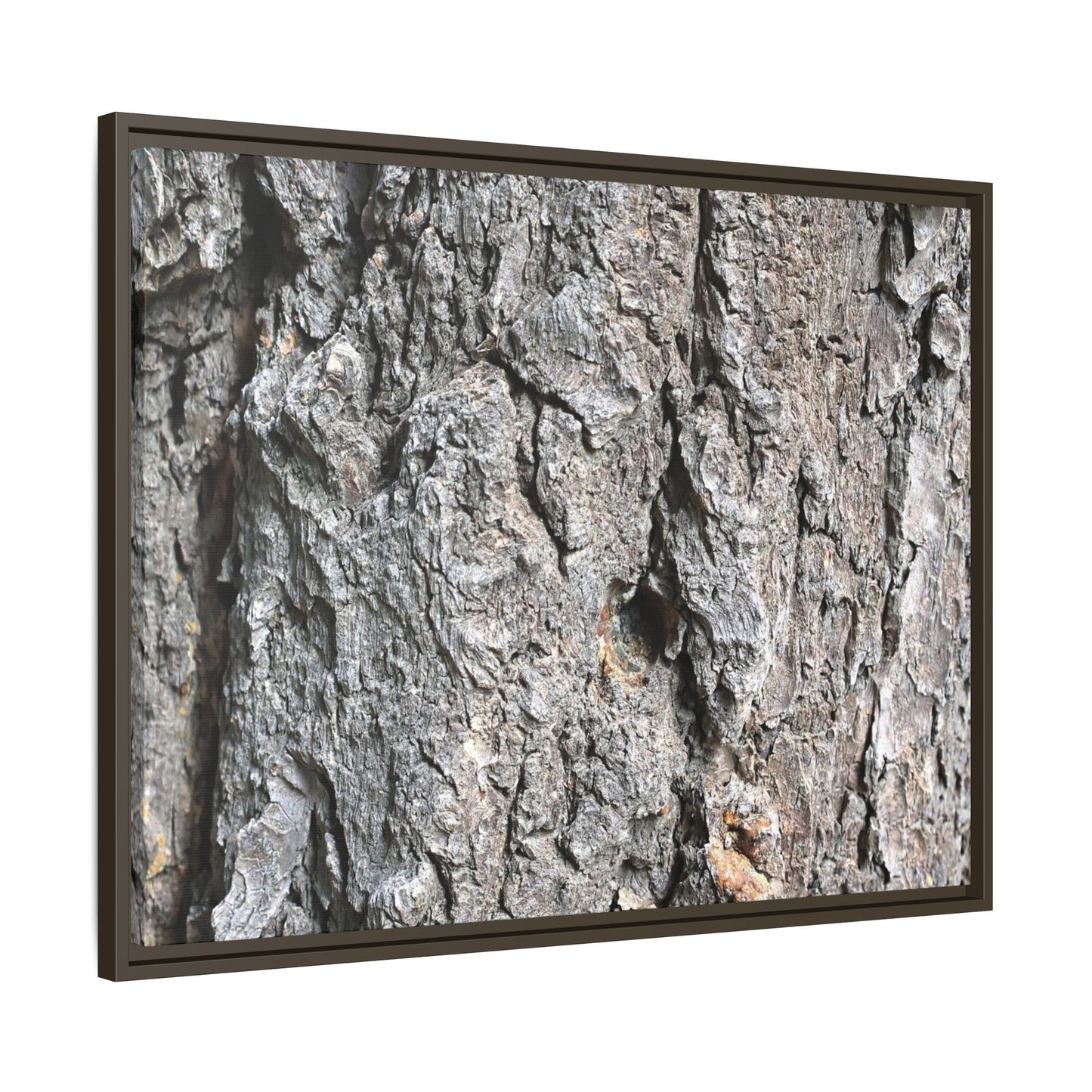 Crusty Exterior - Unique Stretched Canvas Wall Art