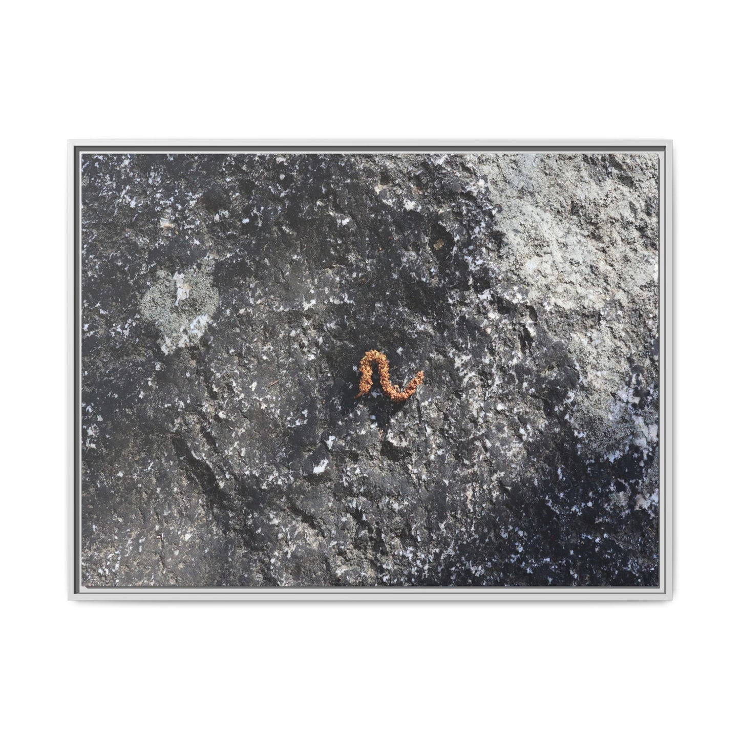 Volcanic Ash and Copper - Unique Stretched Canvas Wall Art