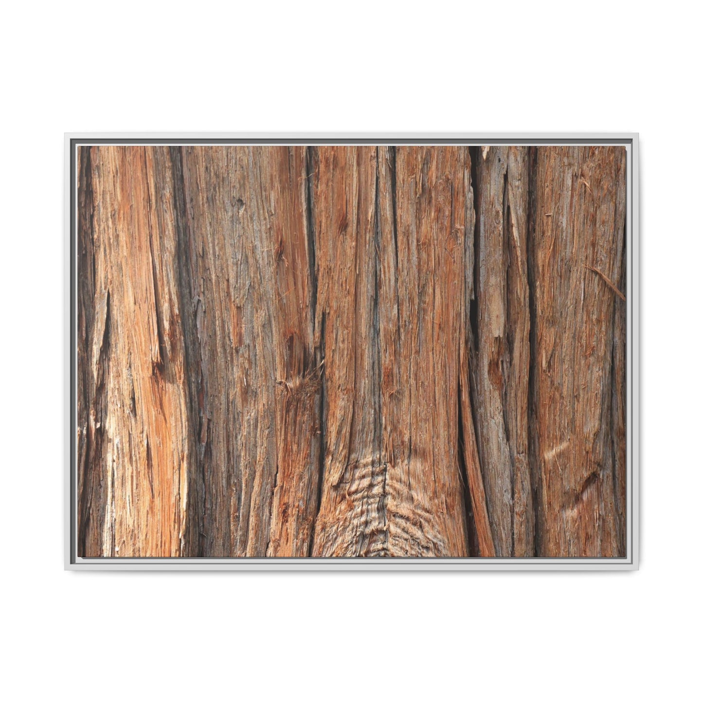 Echoes of Timber - Unique Stretched Canvas Wall Art