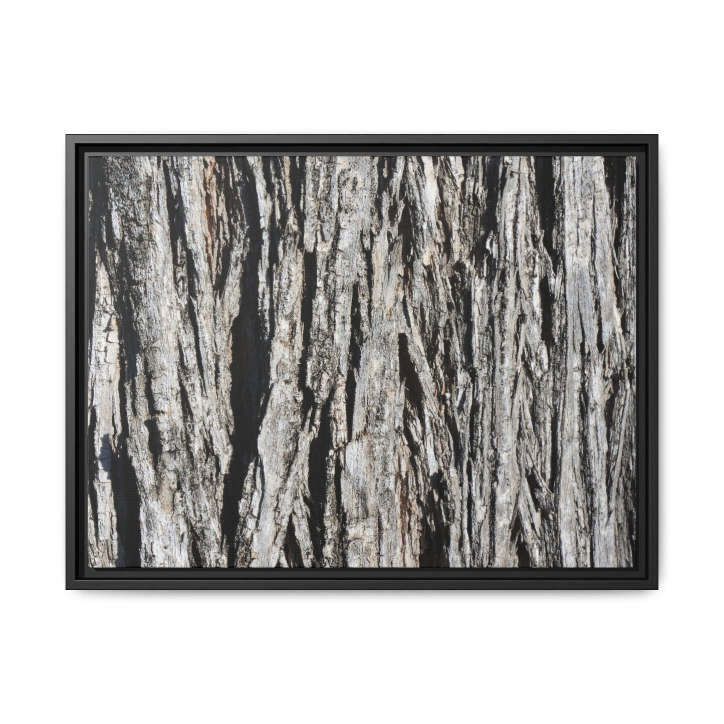 Nature's Abstract - Unique Stretched Canvas Wall Art