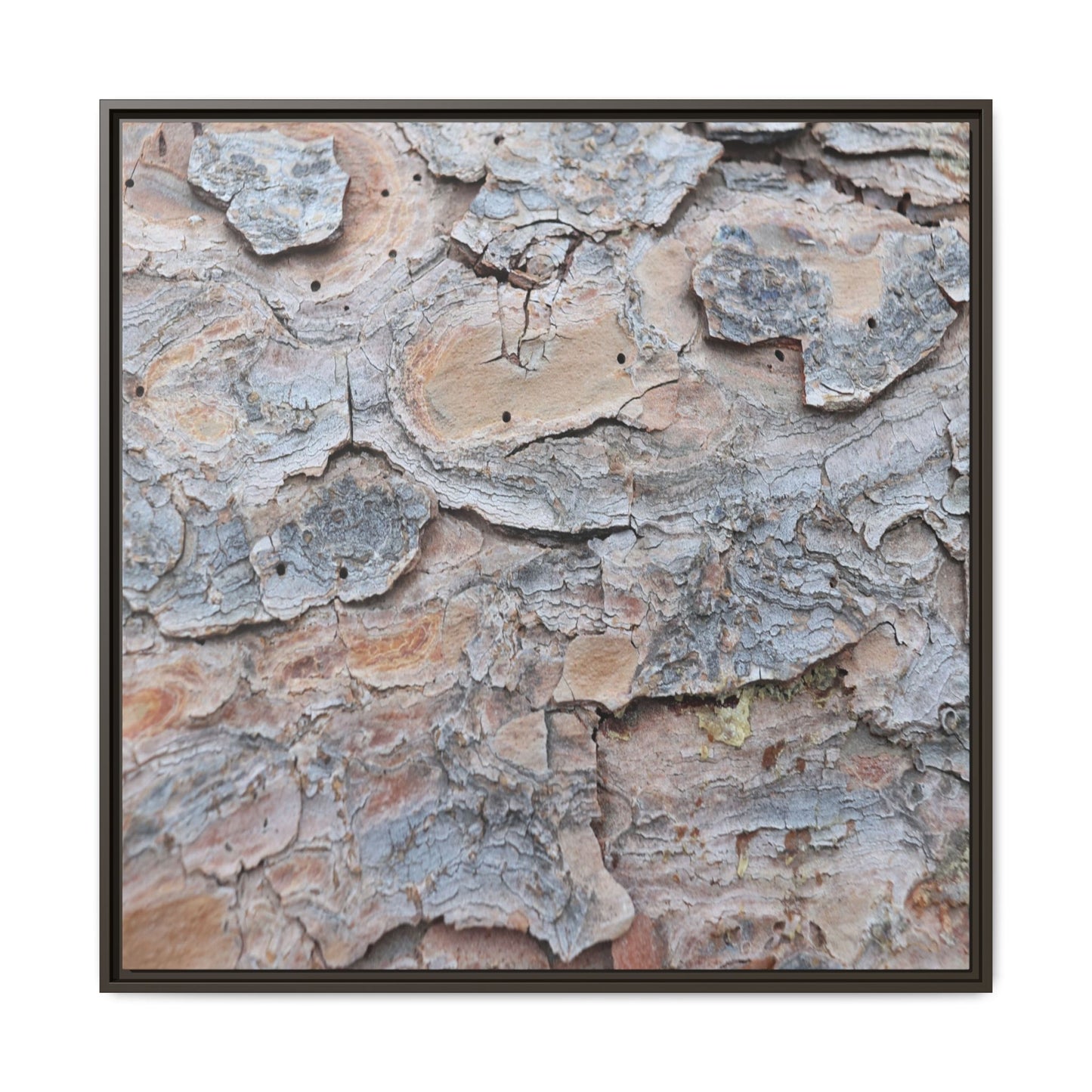 Peeling Memories - Unique Stretched Canvas Wall Art