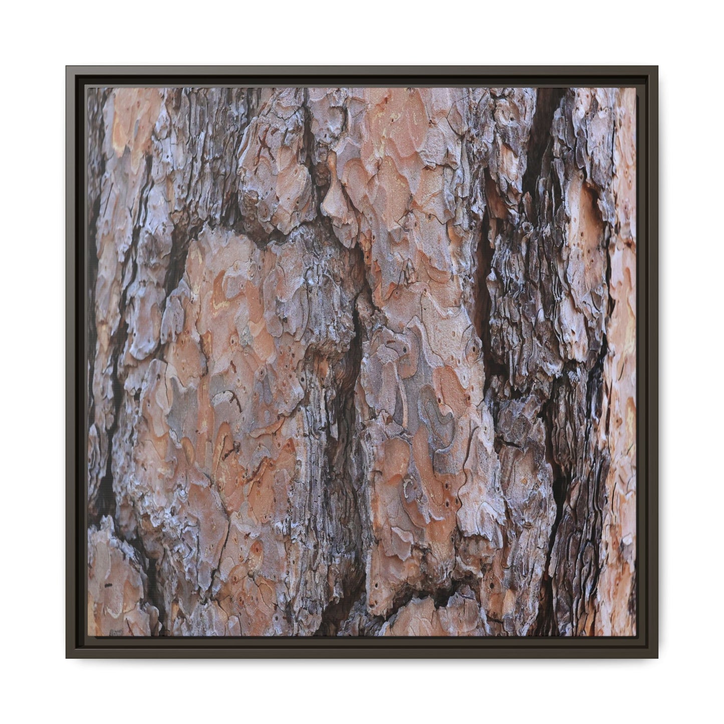 Tree Skin Symphony - Unique Stretched Canvas Wall Art