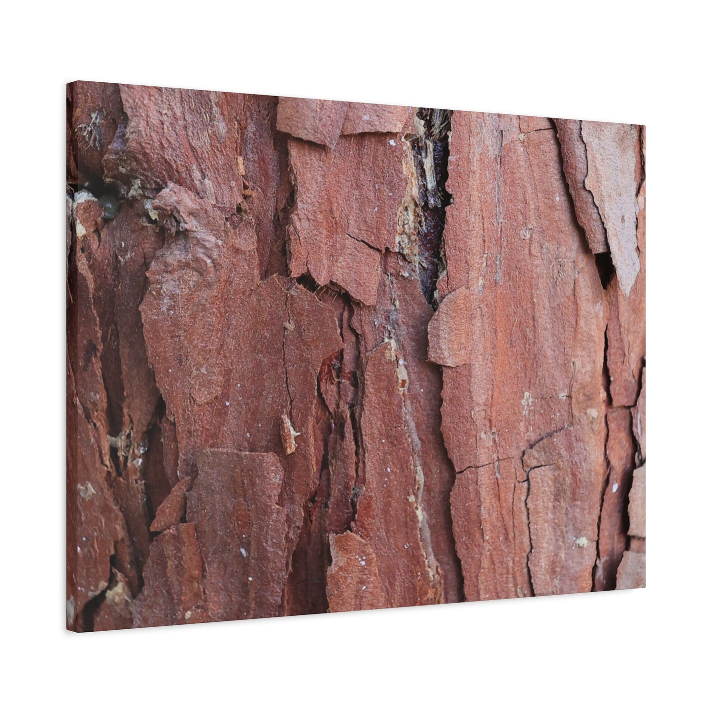 Crimson Fissures - Unique Frameless Canvas Wall Art