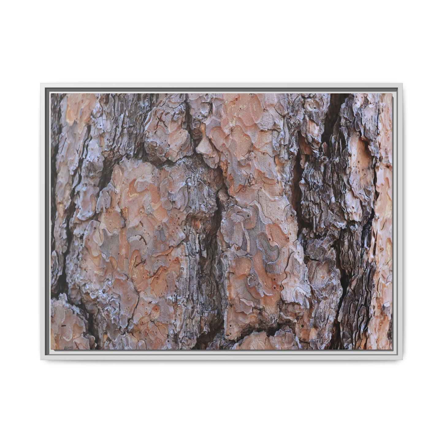 Tree Skin Symphony - Unique Stretched Canvas Wall Art