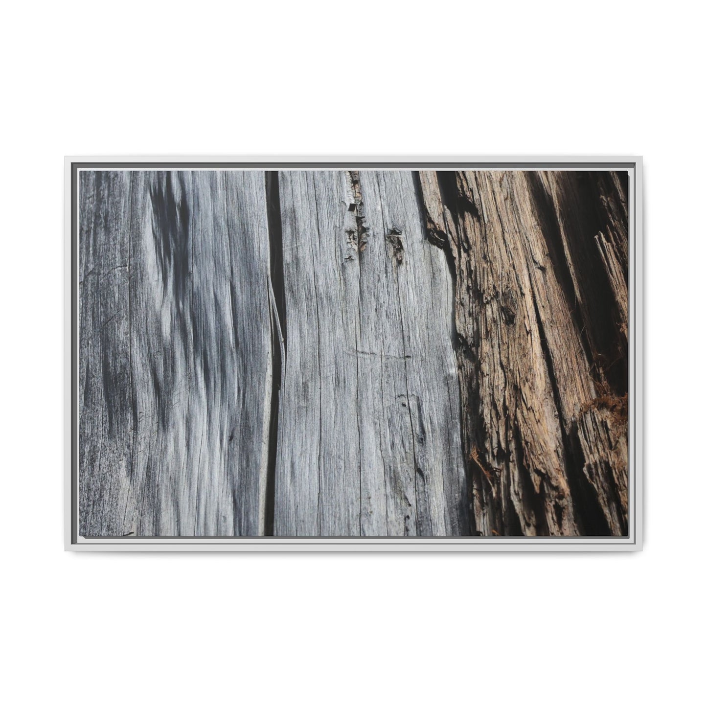 Wood's Lament - Unique Stretched Canvas Wall Art