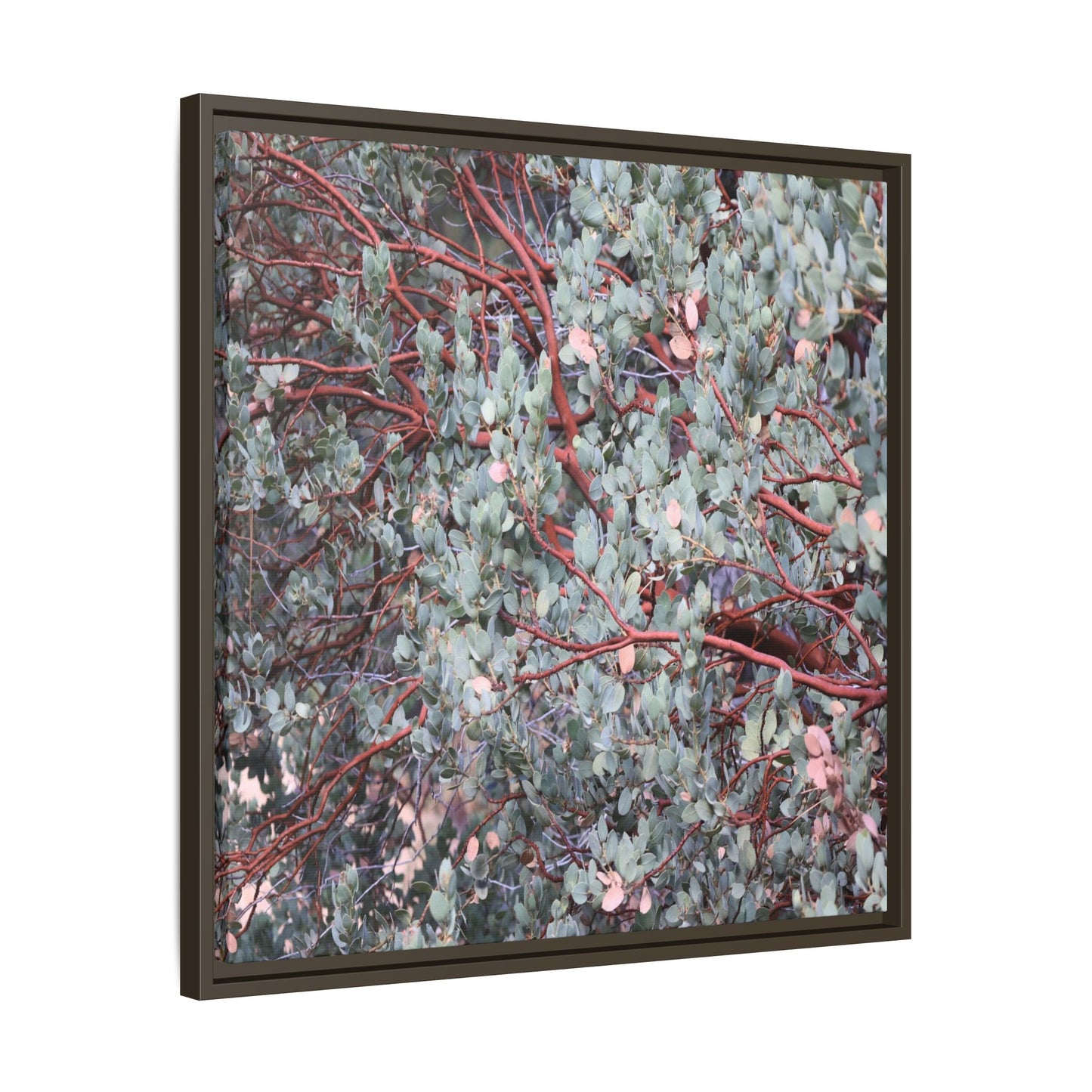 Whispers of Sage - Unique Stretched Canvas Wall Art