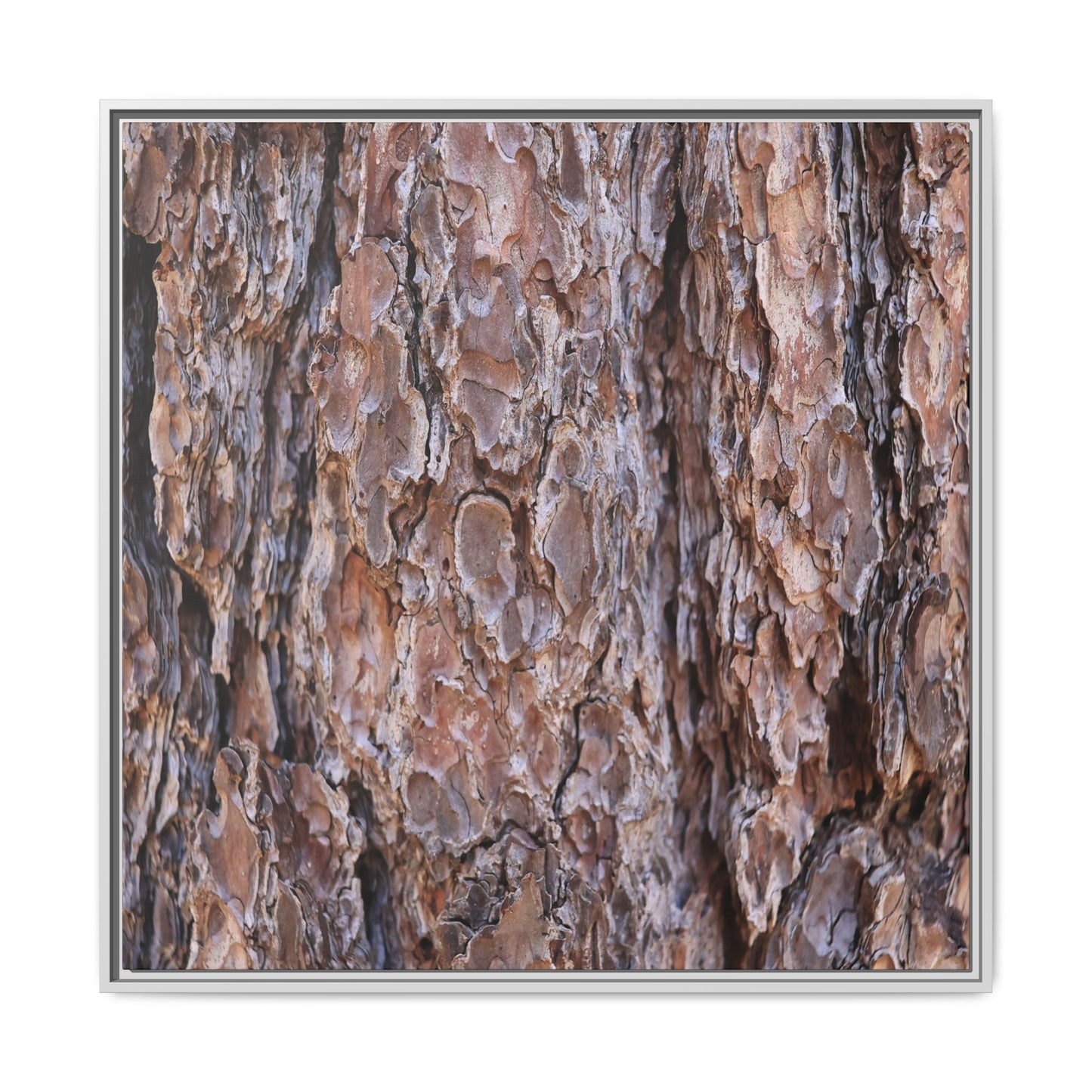 Woody Layers - Unique Stretched Canvas Wall Art