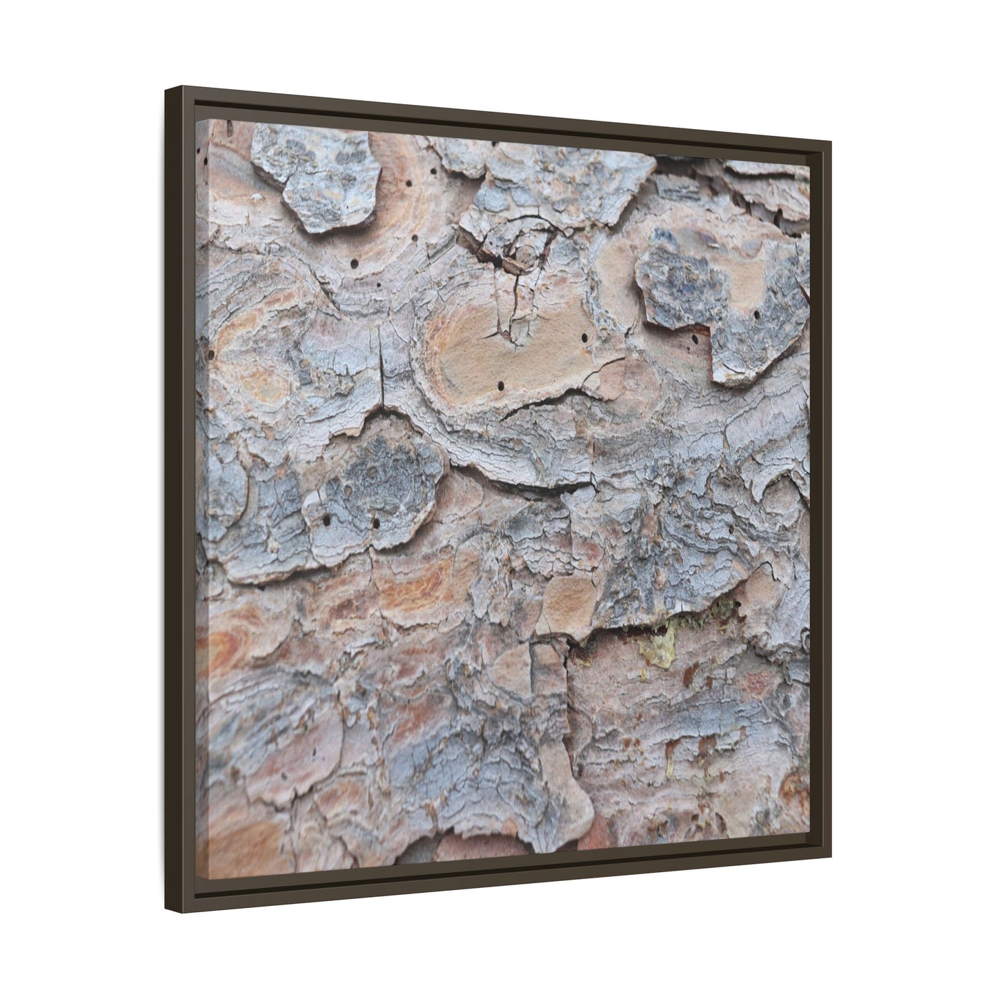 Peeling Memories - Unique Stretched Canvas Wall Art