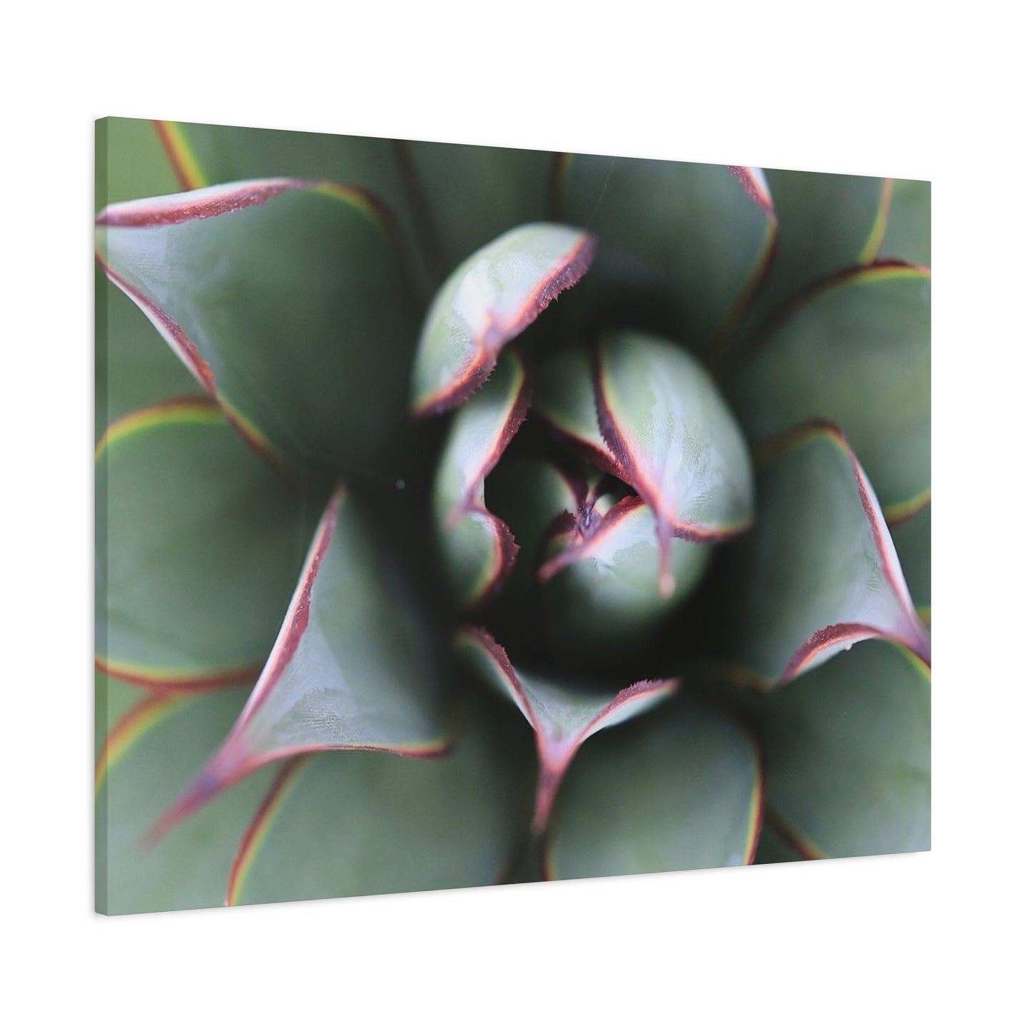 Emerald Spiral - Unique Frameless Canvas Wall Art