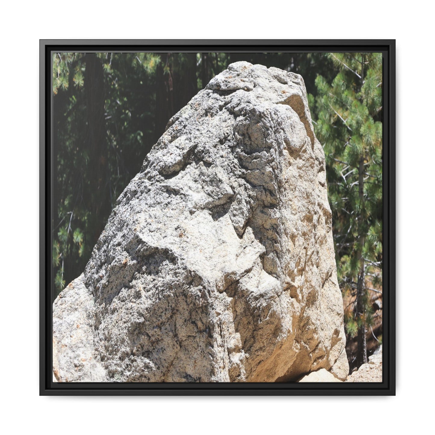 Stone's Silent Whisper - Unique Stretched Canvas Wall Art