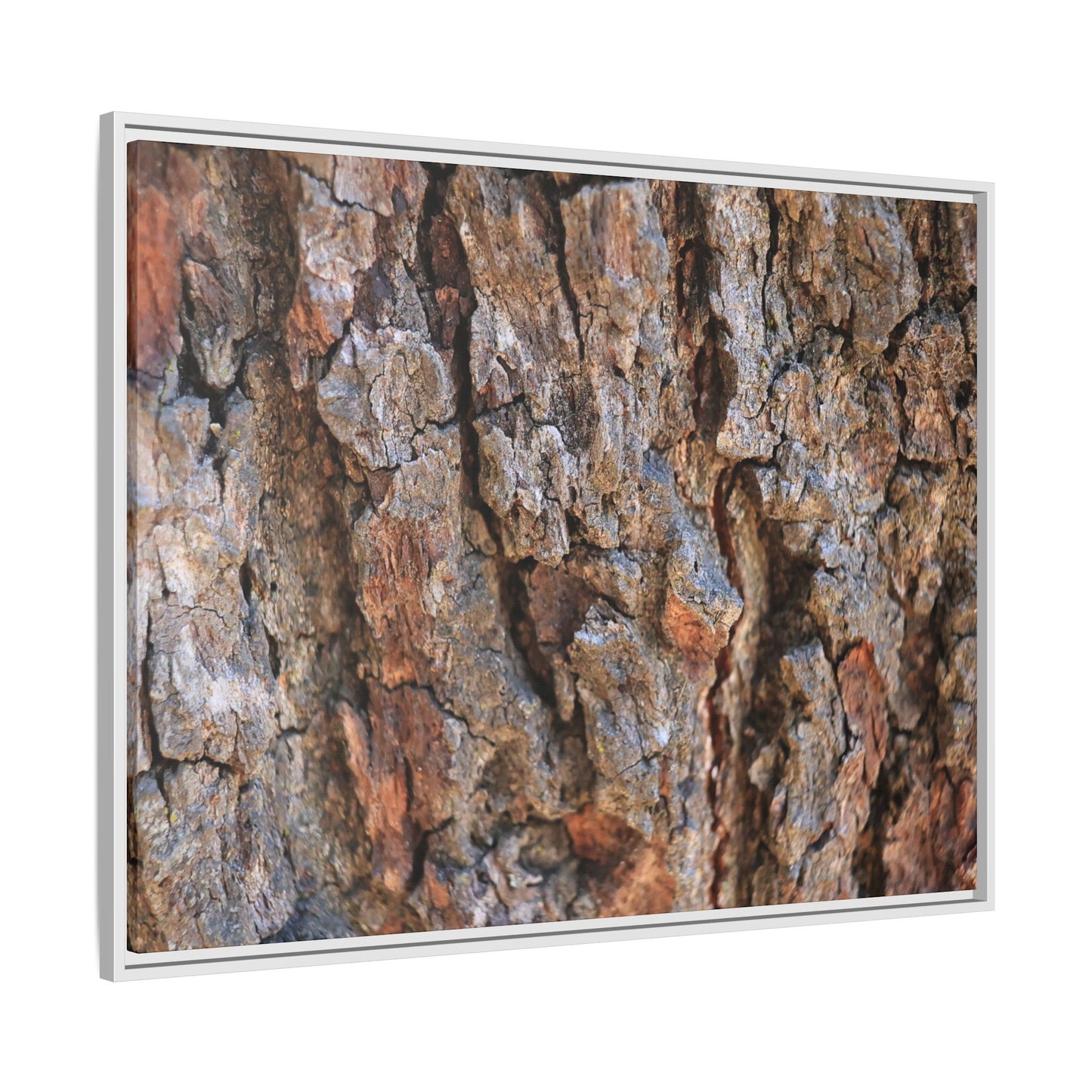 Craggy Textures - Unique Stretched Canvas Wall Art
