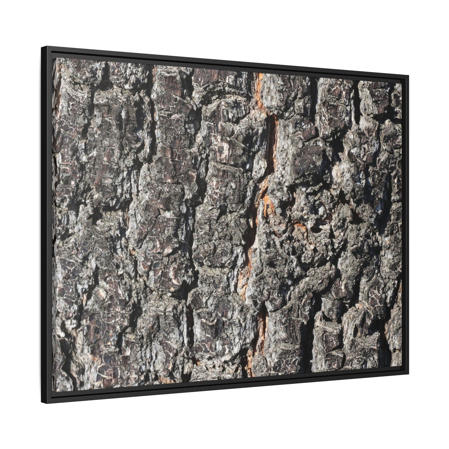 Aged Beauty - Unique Stretched Canvas Wall Art