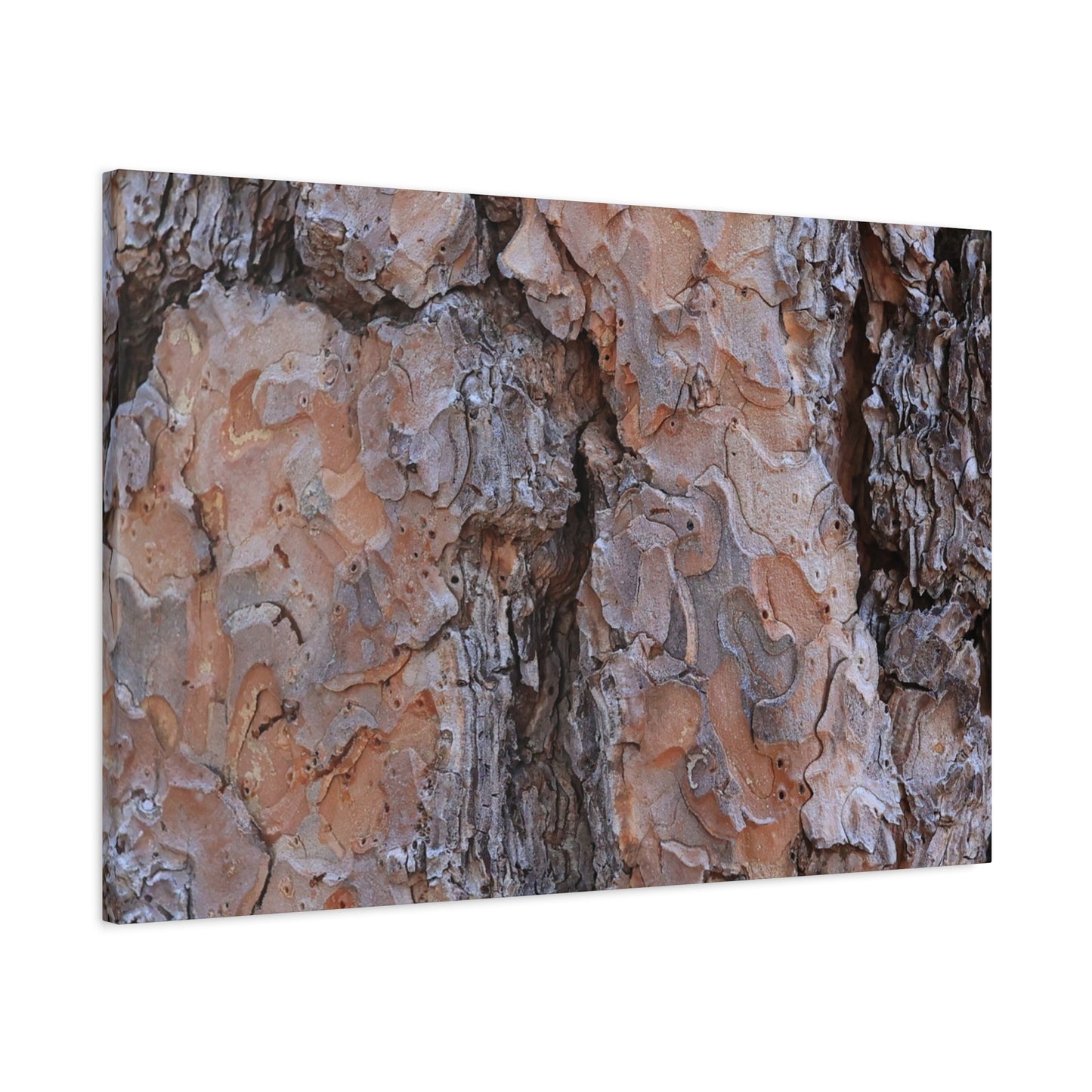 Arboreal Armor - Unique Frameless Canvas Wall Art