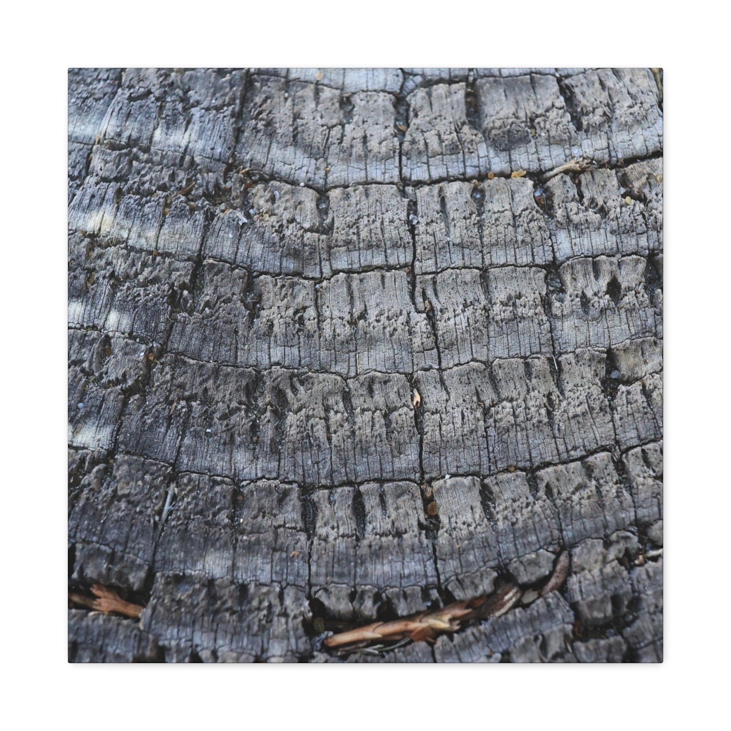 Whispers of Age - Unique Frameless Canvas Wall Art