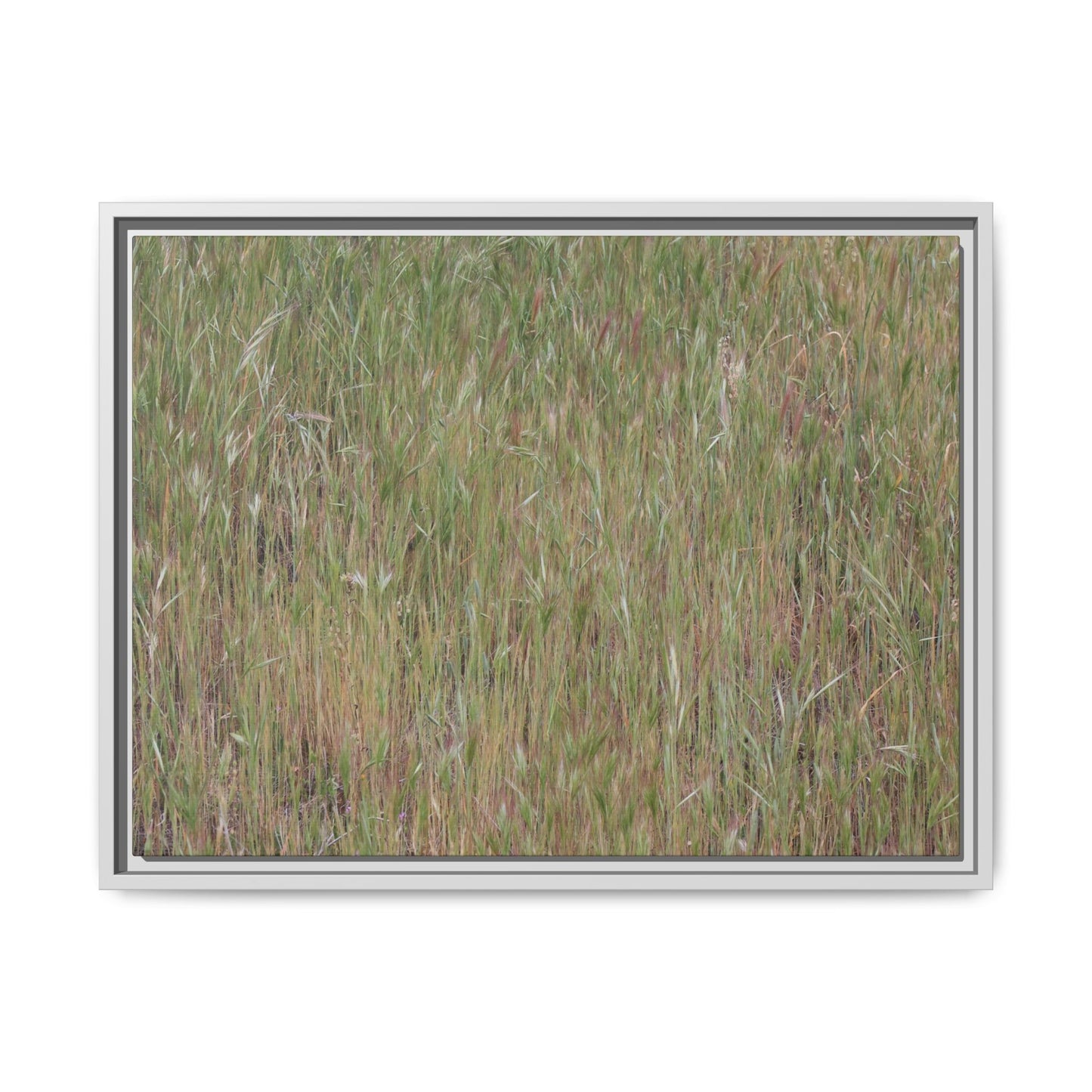 Field of Dreams - Unique Stretched Canvas Wall Art