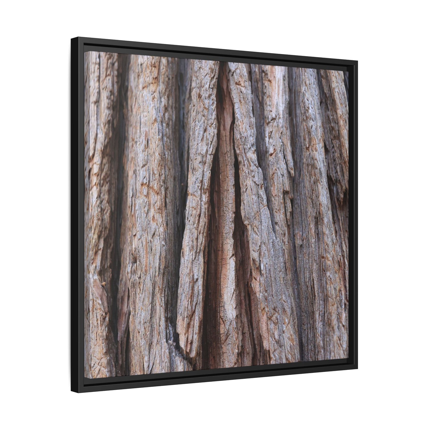 Nature's Sculpture - Unique Stretched Canvas Wall Art