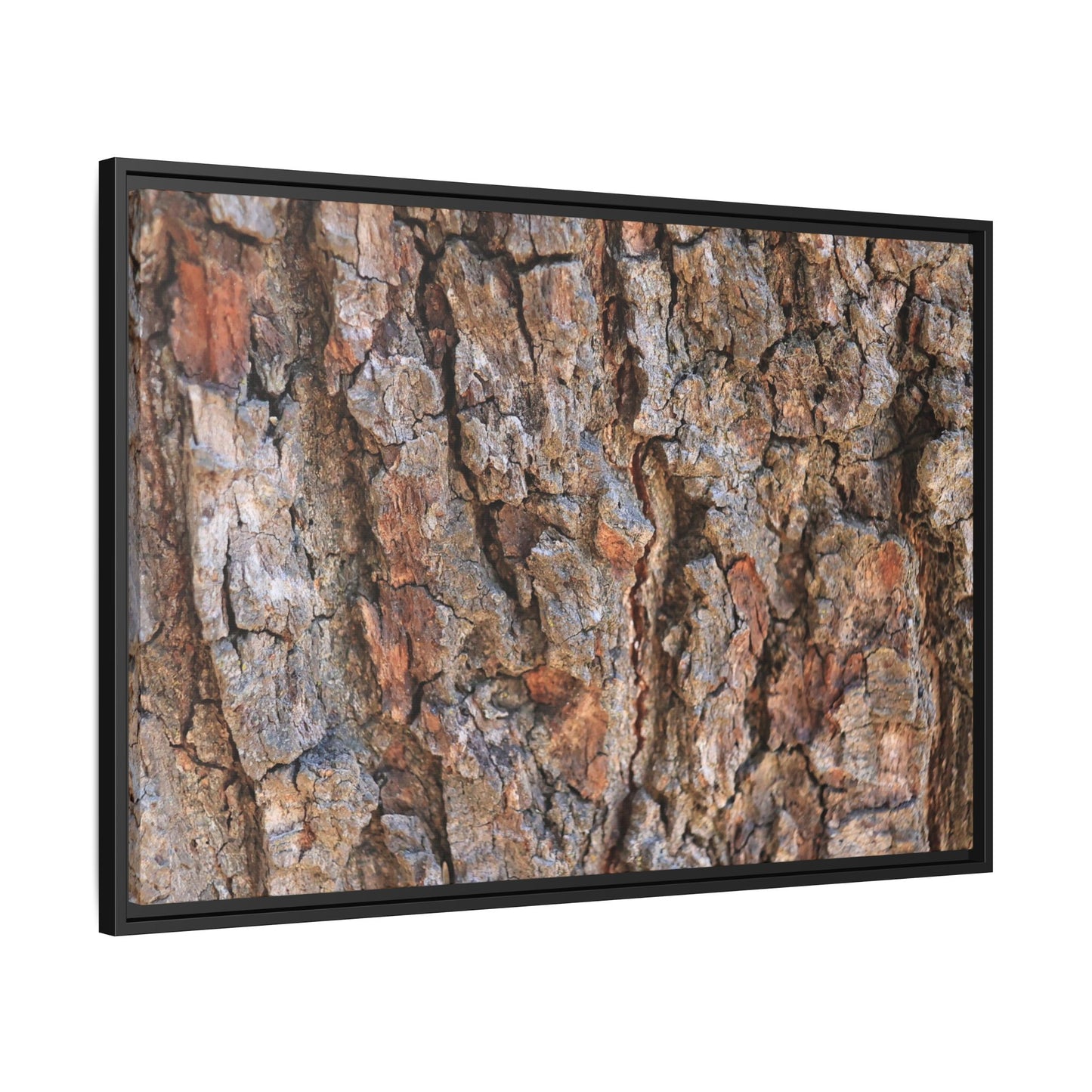 Tree's Timeworn Tale - Unique Stretched Canvas Wall Art