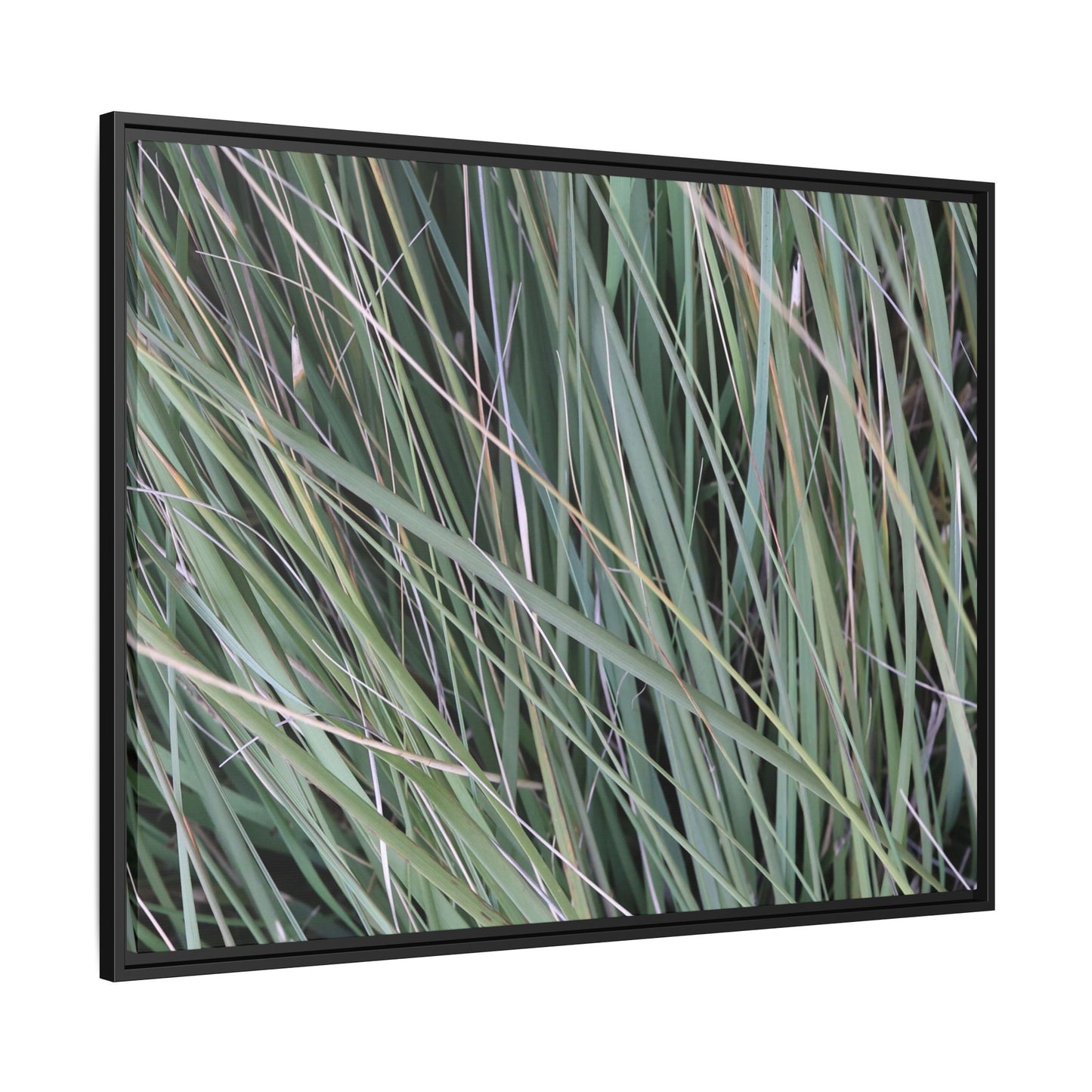 Grassland Symphony - Unique Stretched Canvas Wall Art