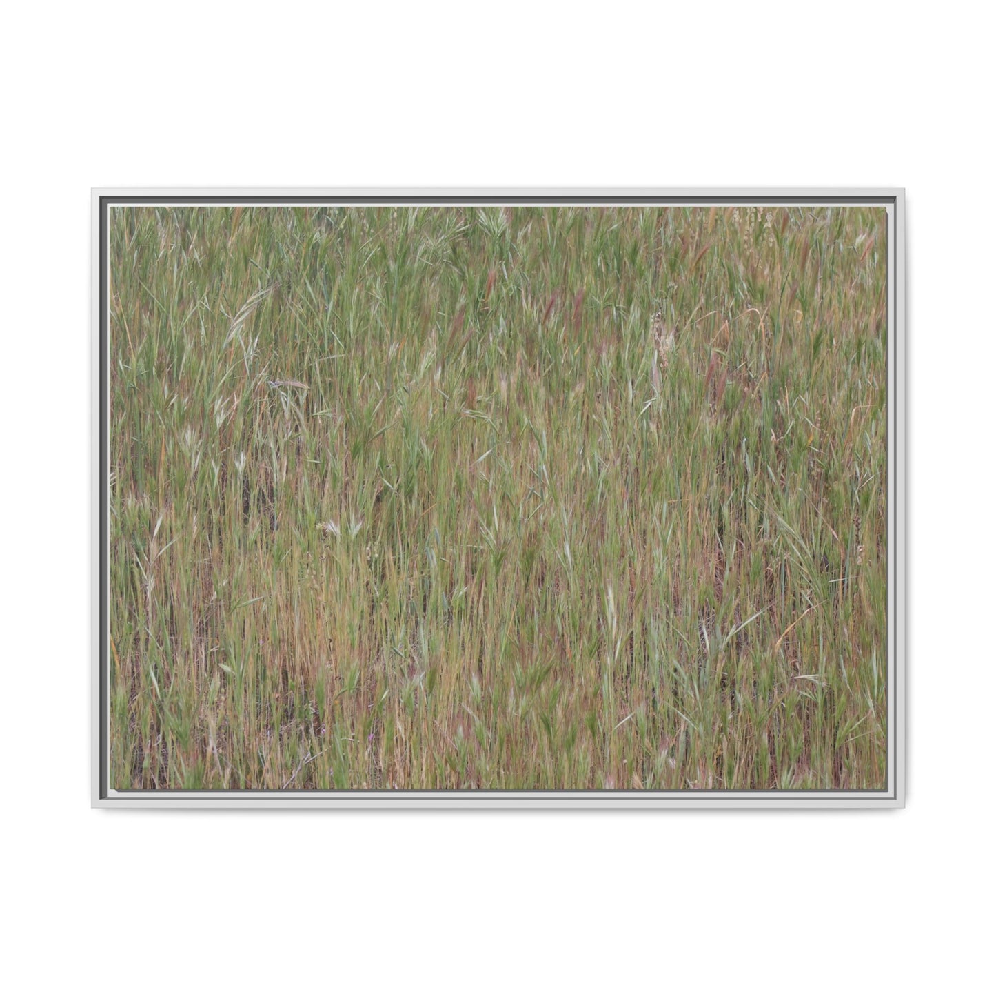 Field of Dreams - Unique Stretched Canvas Wall Art