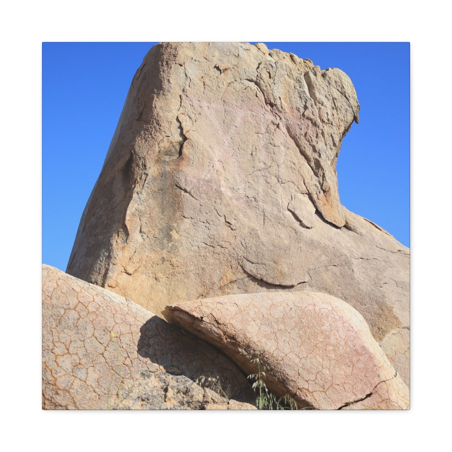 Boulder's Embrace - Unique Frameless Canvas Wall Art