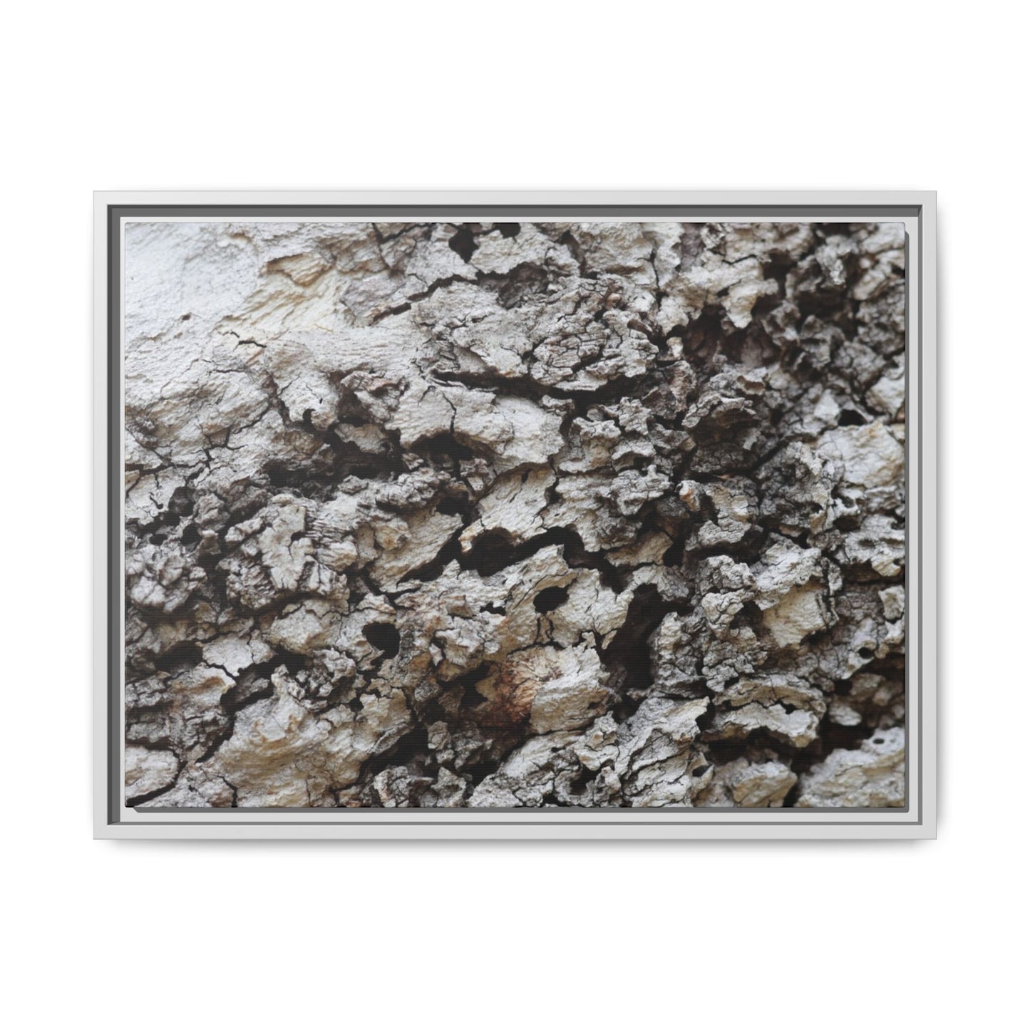 Cracked Terrain - Unique Stretched Canvas Wall Art
