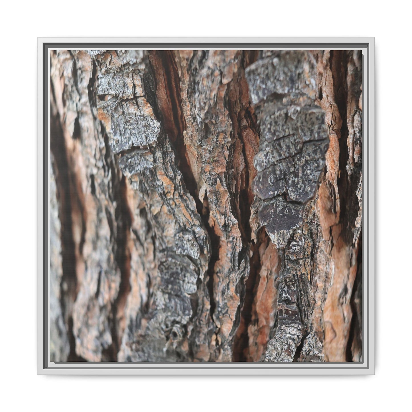 Fractured Nature - Unique Stretched Canvas Wall Art