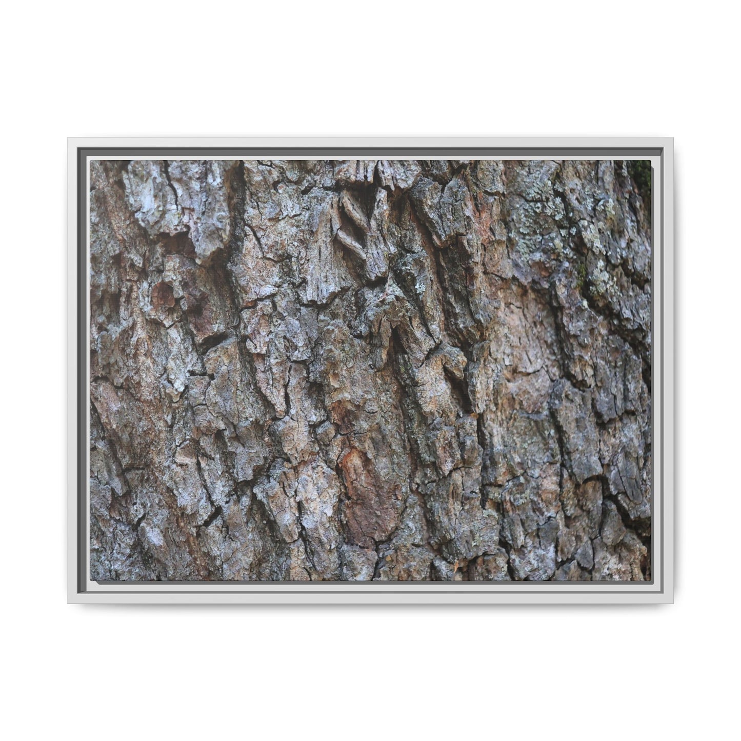 Woodland Skin - Unique Stretched Canvas Wall Art