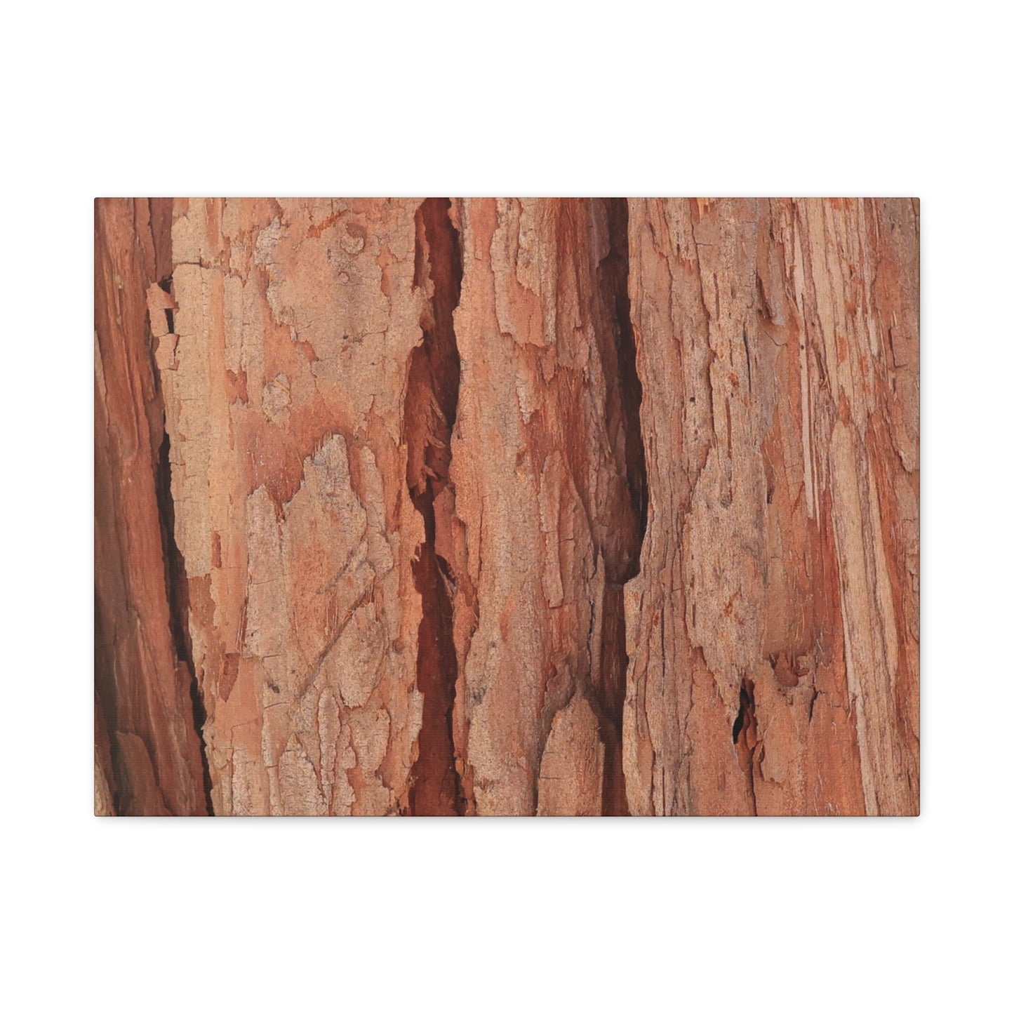 Bark Layers of Time - Unique Frameless Canvas Wall Art