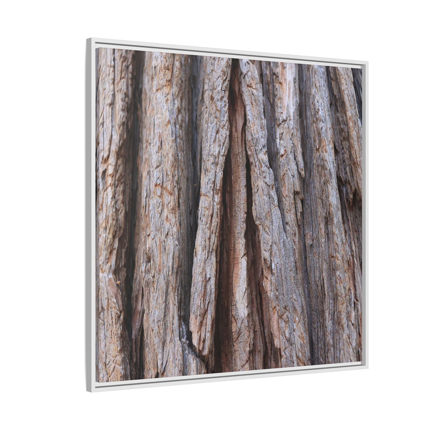 Nature's Sculpture - Unique Stretched Canvas Wall Art