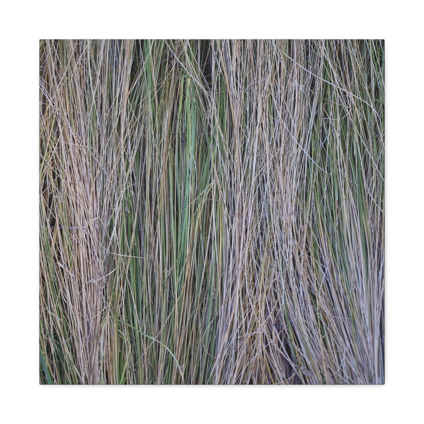 Whispers of Grass - Unique Frameless Canvas Wall Art