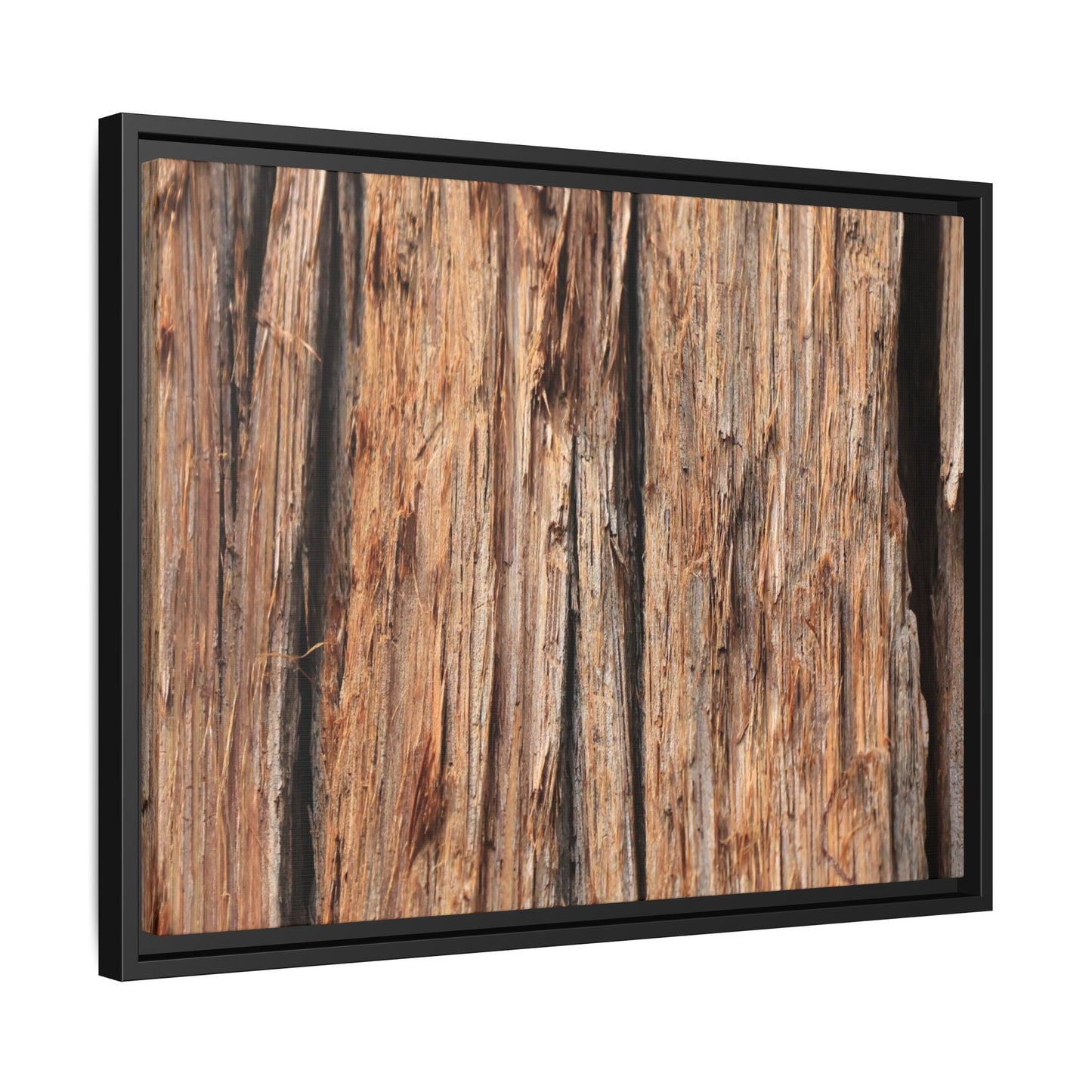 Timber Echoes - Unique Stretched Canvas Wall Art