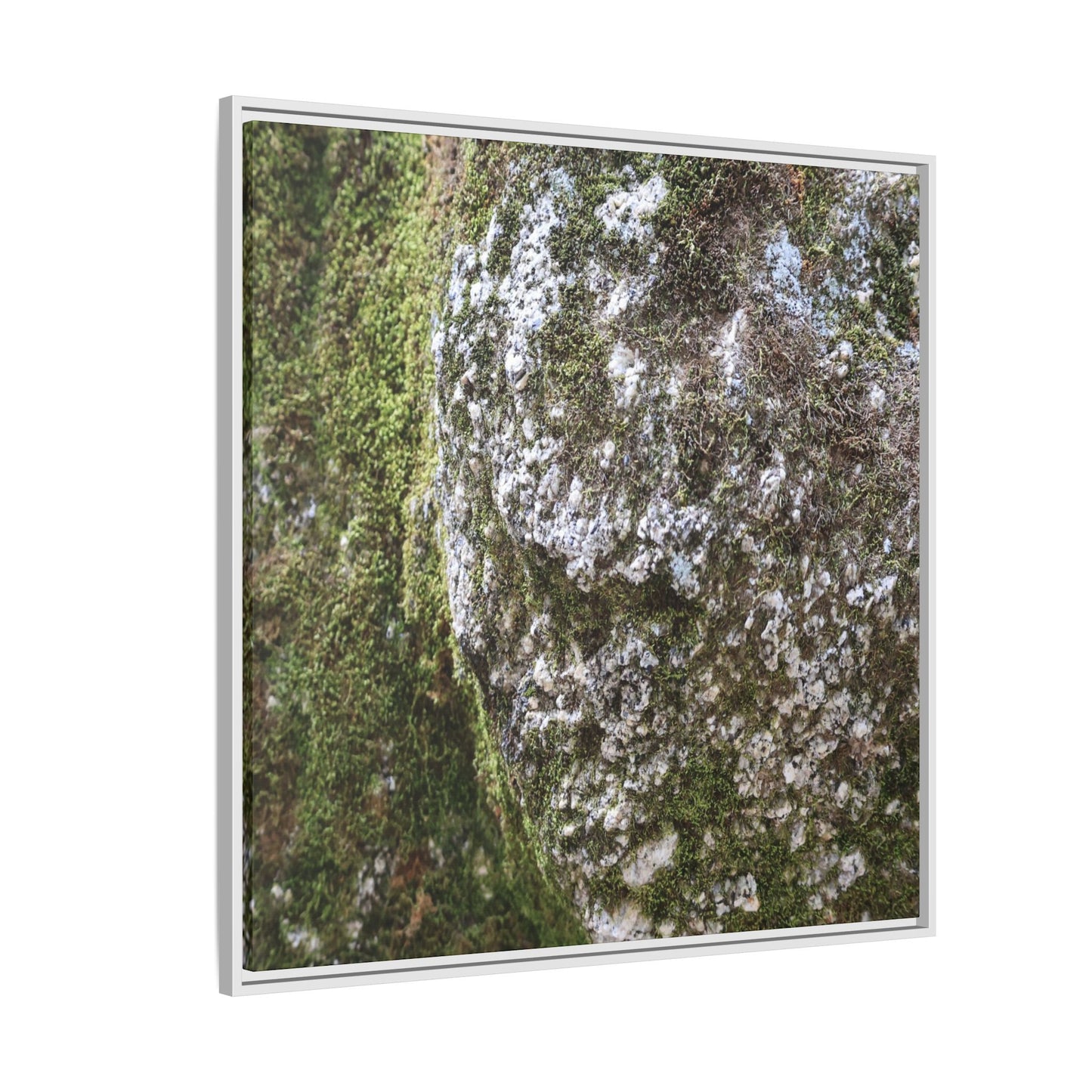 Lichen Landscape - Unique Stretched Canvas Wall Art