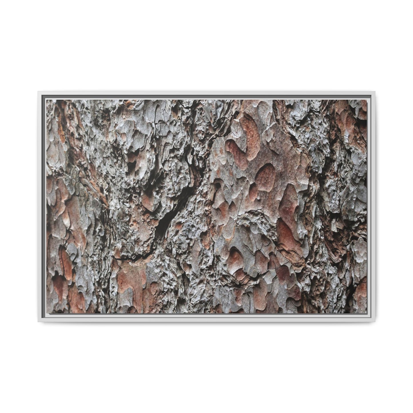 Bark Texture Symphony - Unique Stretched Canvas Wall Art