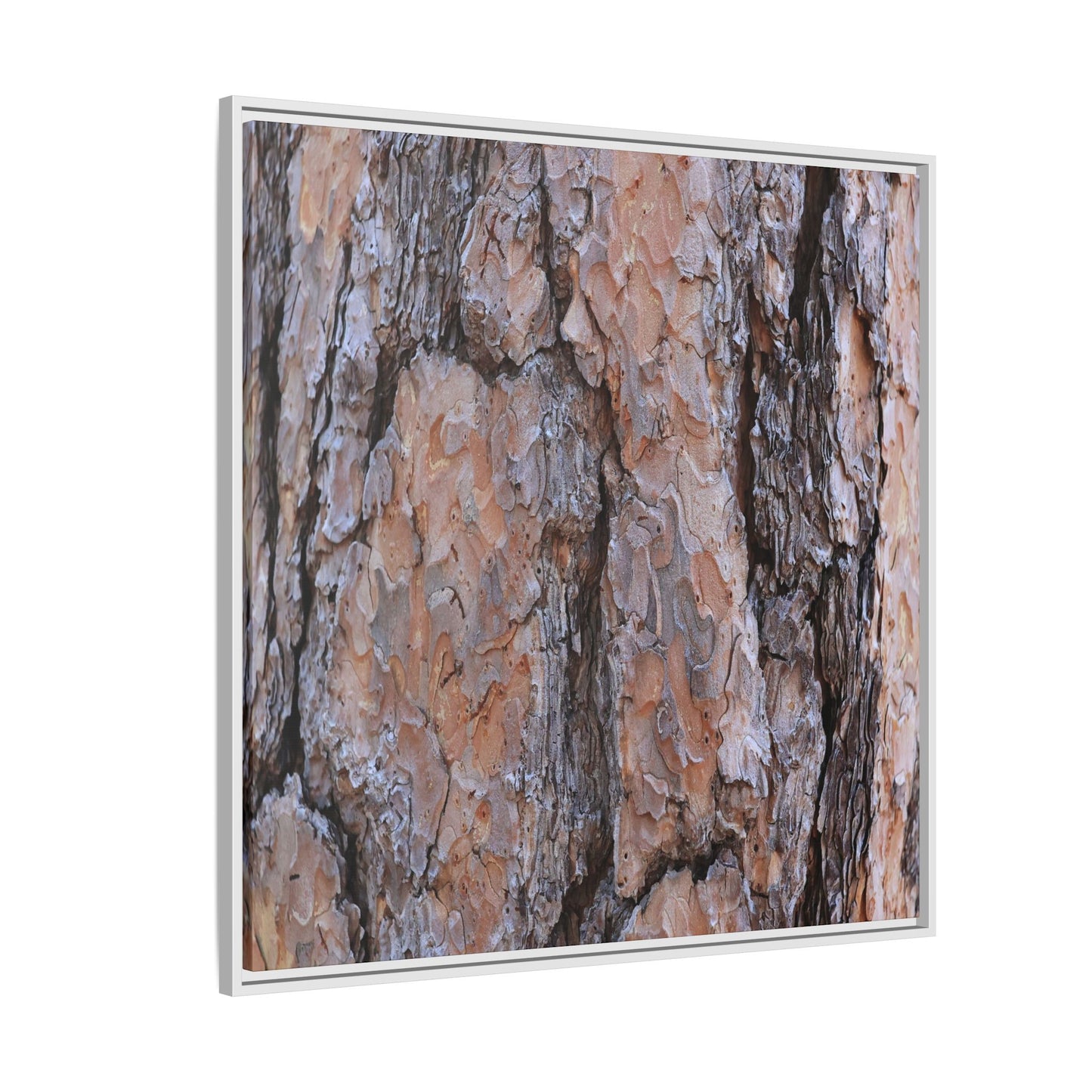 Tree Skin Symphony - Unique Stretched Canvas Wall Art