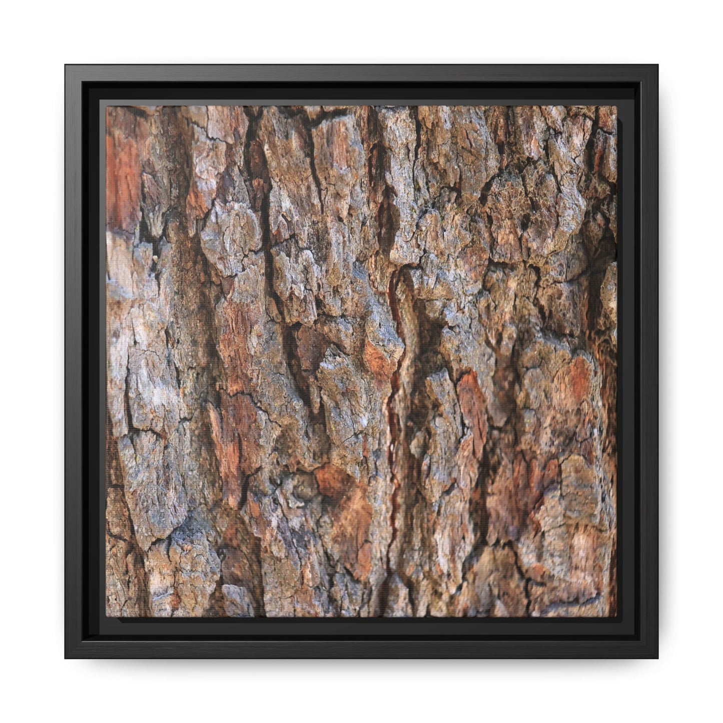 Tree's Timeworn Tale - Unique Stretched Canvas Wall Art