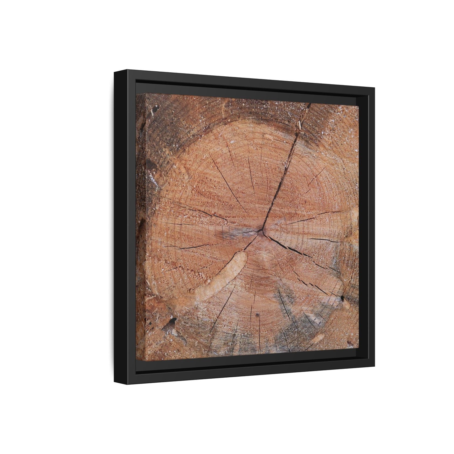 Concentric Memories - Unique Stretched Canvas Wall Art