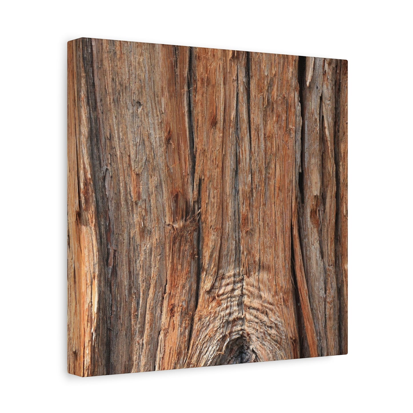 Bark's Ancient Whispers - Unique Frameless Canvas Wall Art
