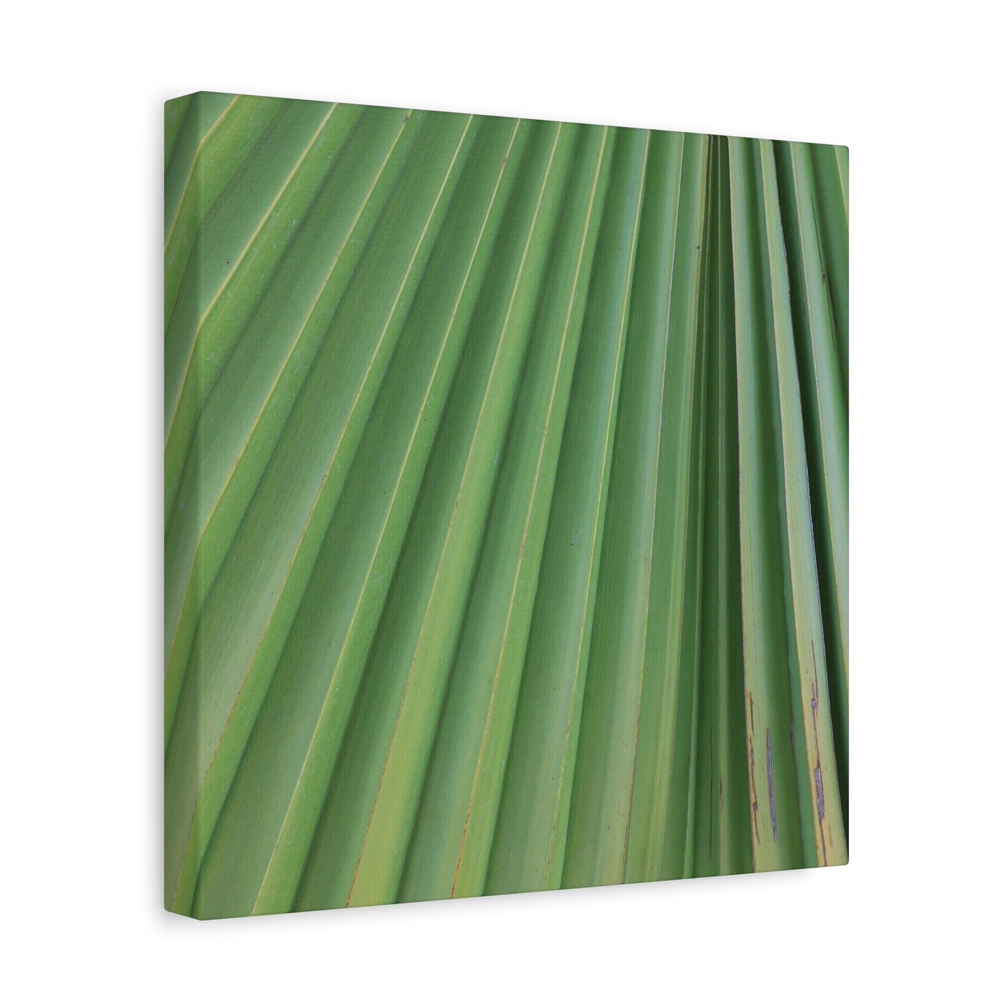 Palm Pulse - Unique Frameless Canvas Wall Art
