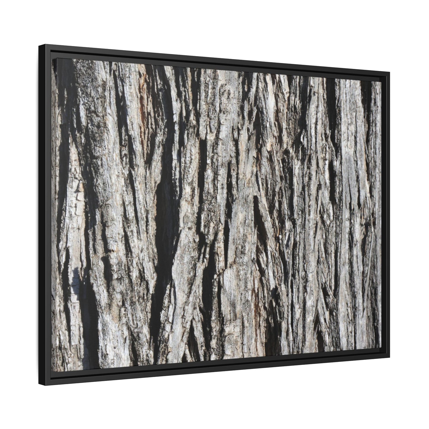 Nature's Abstract - Unique Stretched Canvas Wall Art