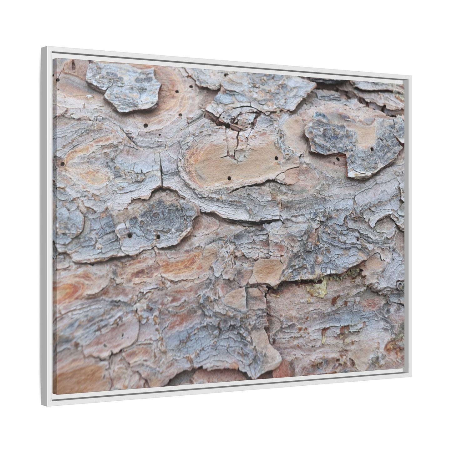 Peeling Memories - Unique Stretched Canvas Wall Art