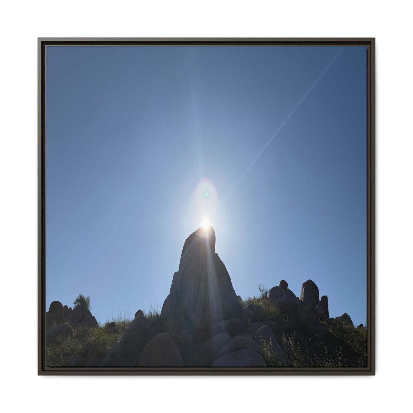 Sunburst - Unique Stretched Canvas Wall Art