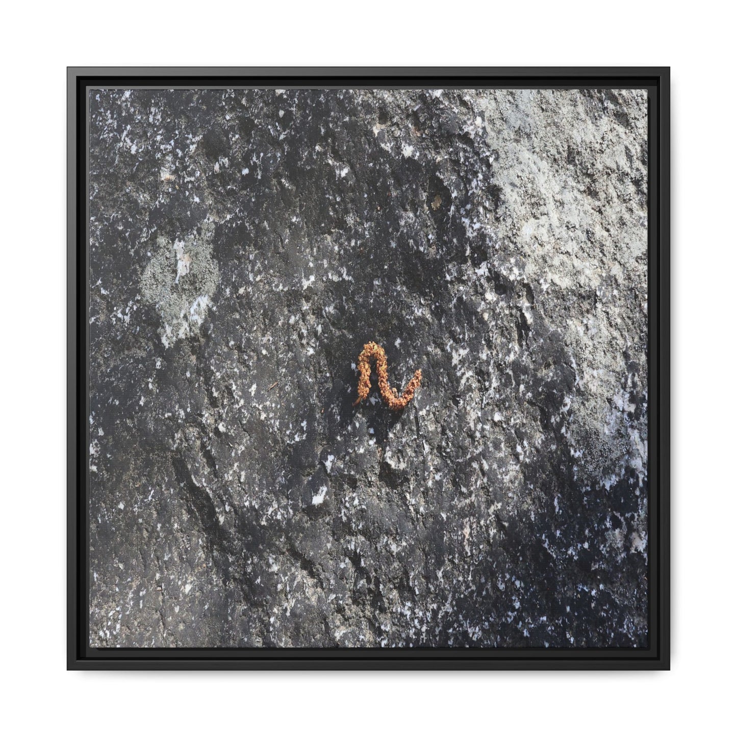Volcanic Ash and Copper - Unique Stretched Canvas Wall Art