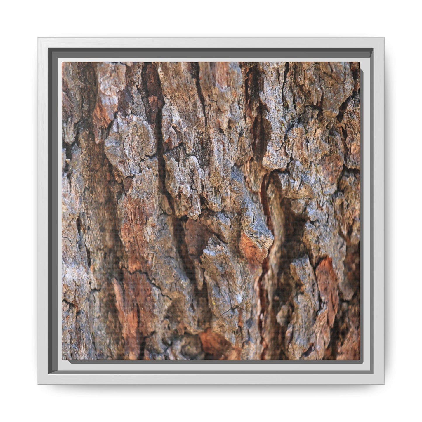 Craggy Textures - Unique Stretched Canvas Wall Art