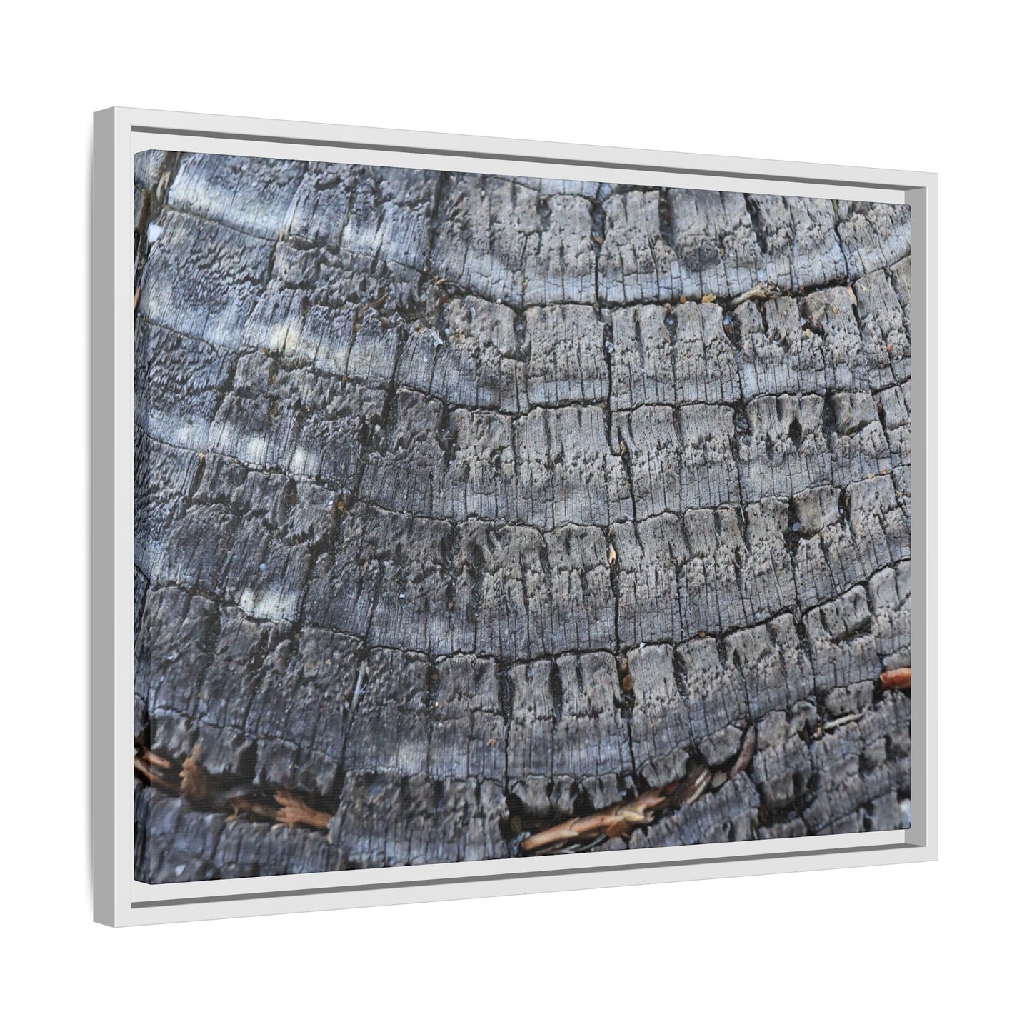 Charred Memories - Unique Stretched Canvas Wall Art