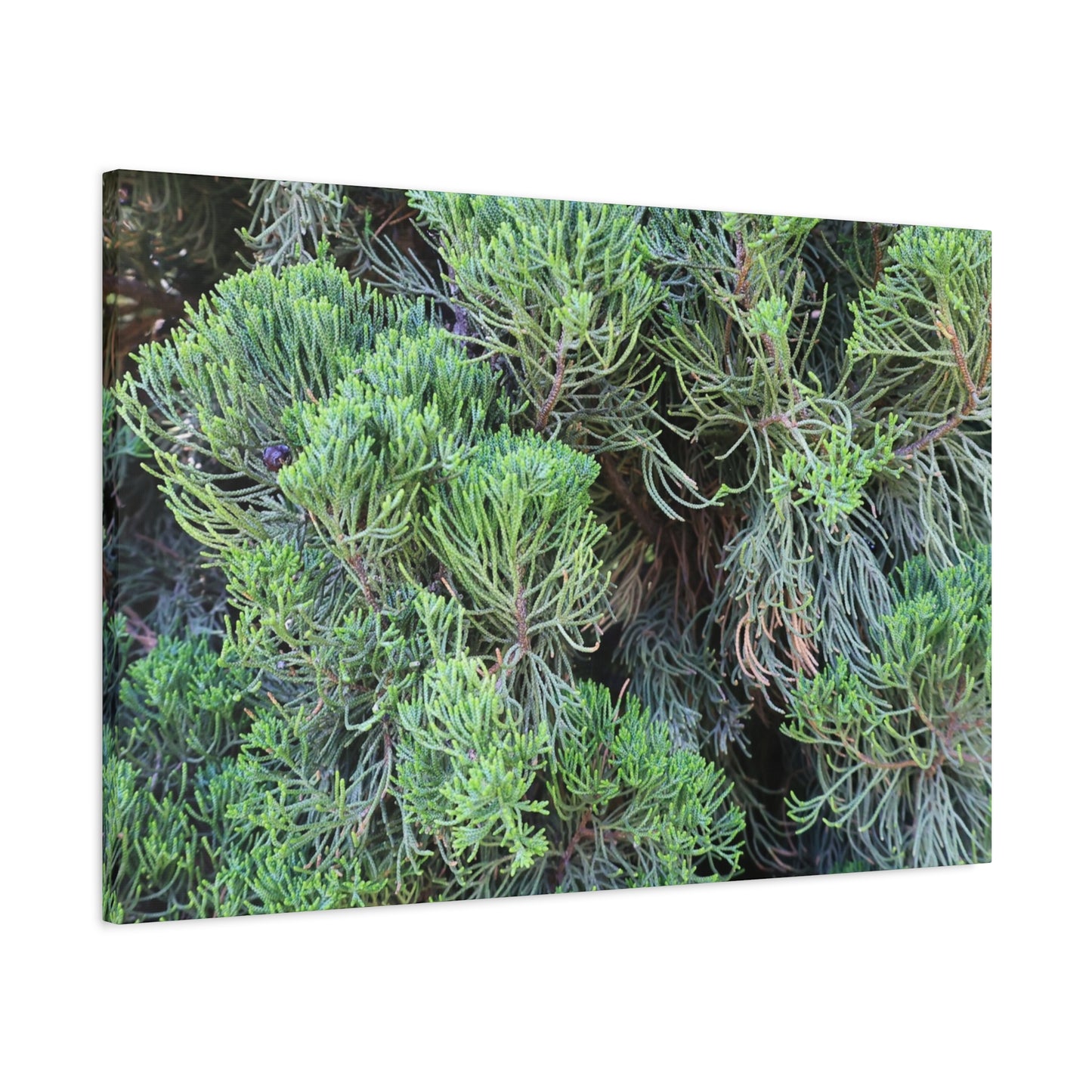 Green Labyrinth - Unique Frameless Canvas Wall Art