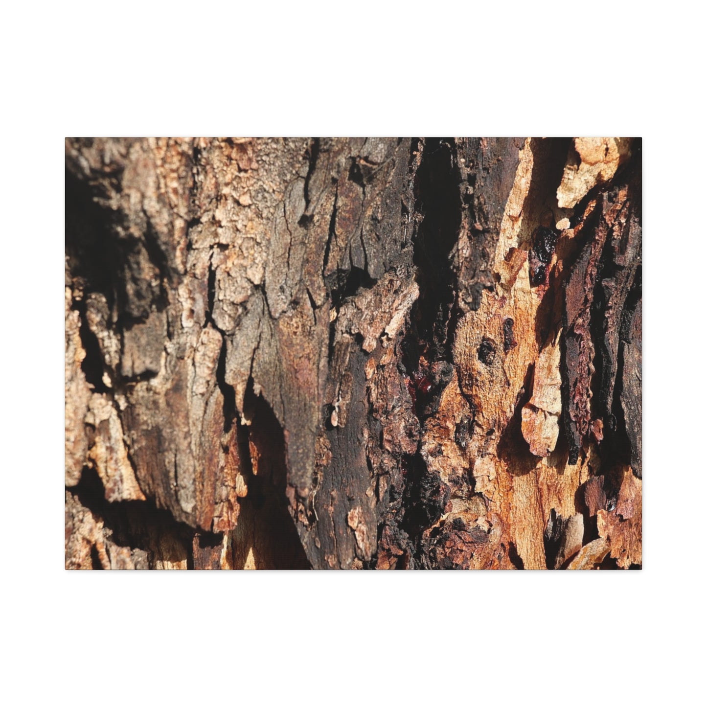 Wooden Terrain - Unique Frameless Canvas Wall Art