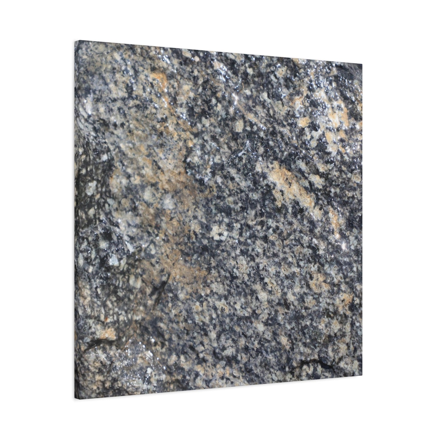 Metamorphic Memory - Unique Frameless Canvas Wall Art